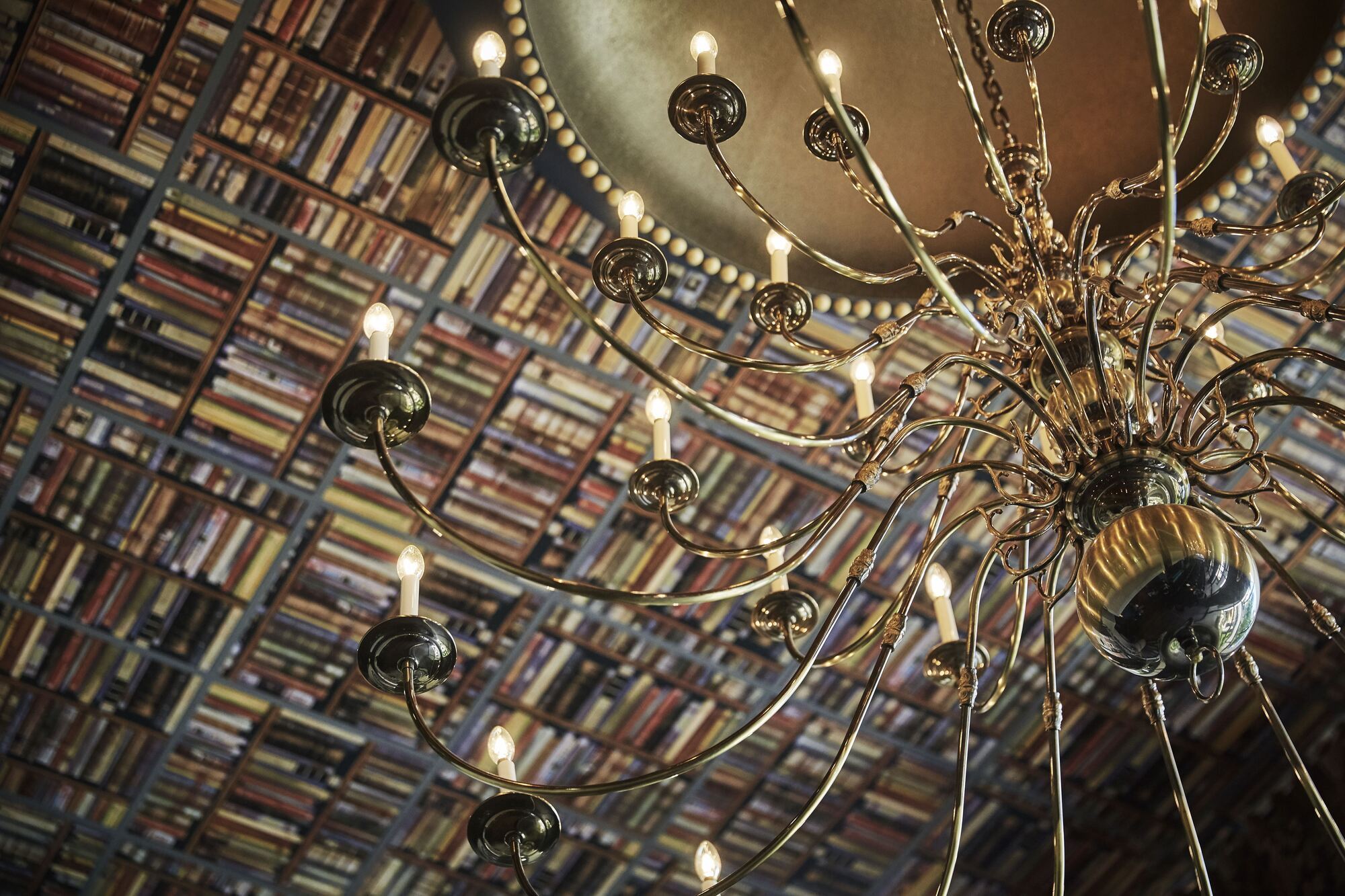 Graduate By Hilton Ann Arbor Hotel Interieur foto
